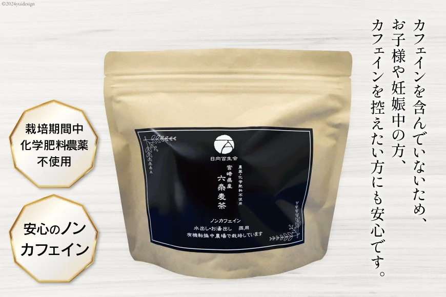 お茶 六条麦茶 （10g × 20包入）×５袋 [日向百生会 宮崎県 日向市 452060516] 麦茶 むぎ茶 水出し 煮出し ティーバッグ 国産 ノンカフェイン