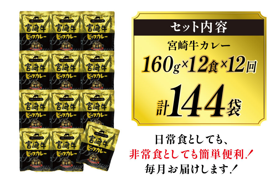 カレー 12回 定期便 レトルト 宮崎牛カレー 160g 12袋 総計144袋 [九州産商 宮崎県 日向市 452061184] 小分け ビーフカレー 宮崎 牛 常備食 保存食 中辛 宮崎牛 備蓄