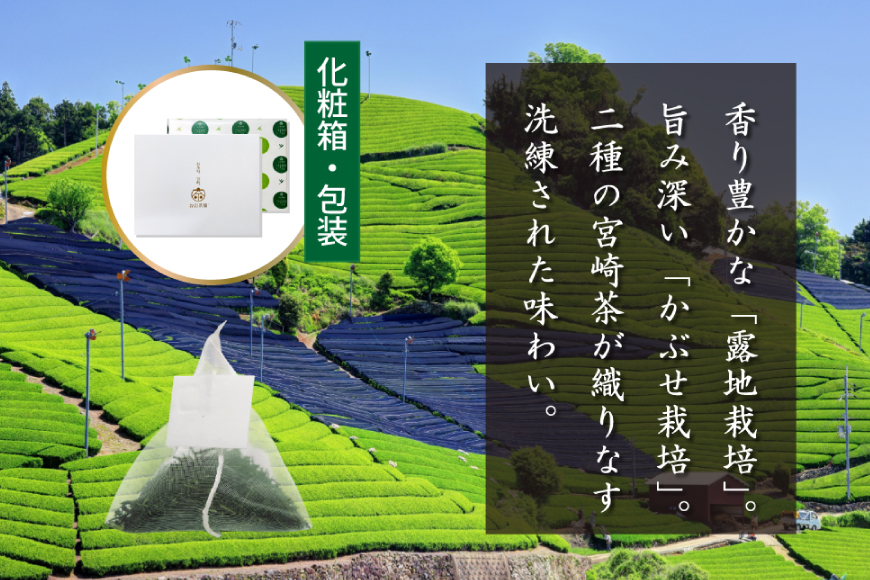 お茶 プレミアム ティーバッグ 露ぶせ 3g 12個 3袋 セット [谷岩茶舗 宮崎県 日向市 452061619] ティーパック 茶 緑茶 日本茶
