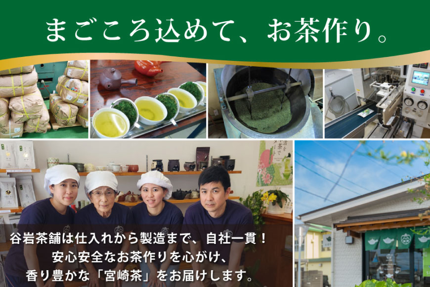 お茶 緑茶 煎茶 晟 70g×2本 [谷岩茶舗 宮崎県 日向市 452061611] セット 緑茶 やぶきた プラチナ賞 日本茶