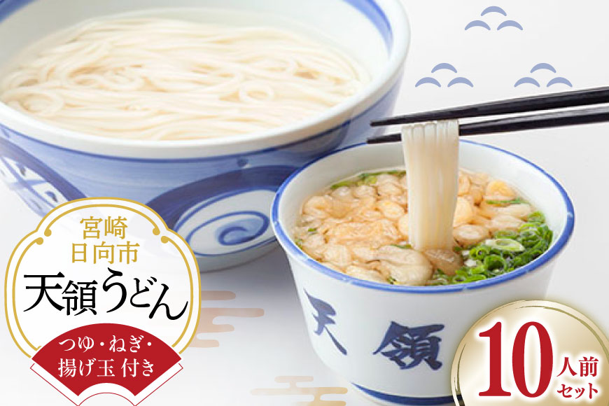 うどん 生麺 天領うどん つゆ ねぎ 揚げ玉 付き 10人前 セット [天領うどん本店 宮崎県 日向市 452061556] ウドン 釜揚げ 釜揚げうどん