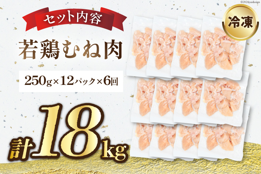 鶏肉 6回 定期便 むね 宮崎県産 若鶏 ムネ肉 250g ×12袋 計 3kg×6回 [九州児湯フーズ宮崎支店 宮崎県 日向市 452061054] 小分け 冷凍 むね肉 国産