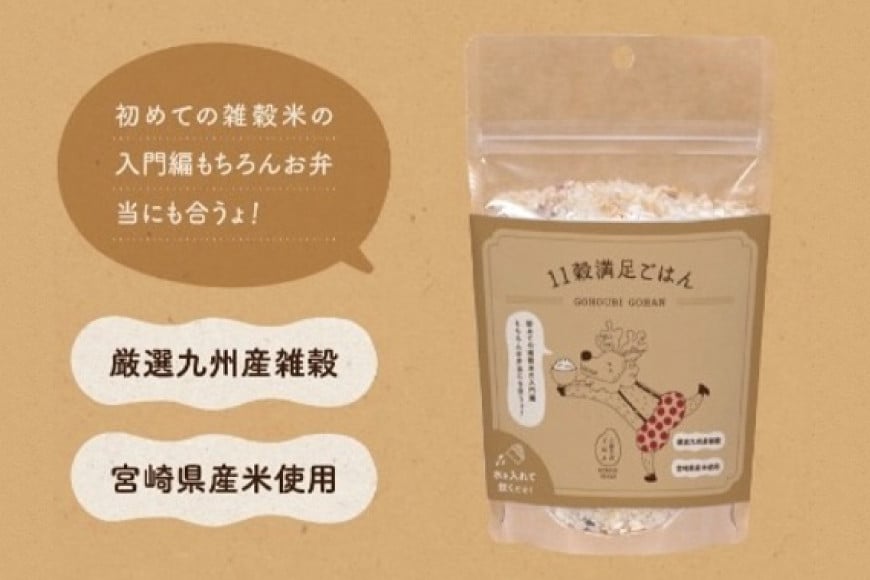 米 無洗米 11穀満足ごはん ごほうびごはん 250g×4 計 1kg [DANBO*DELI 宮崎県 日向市 452060022] 小分け 国産 ブレンド米 雑穀米 こめ コメ 雑穀