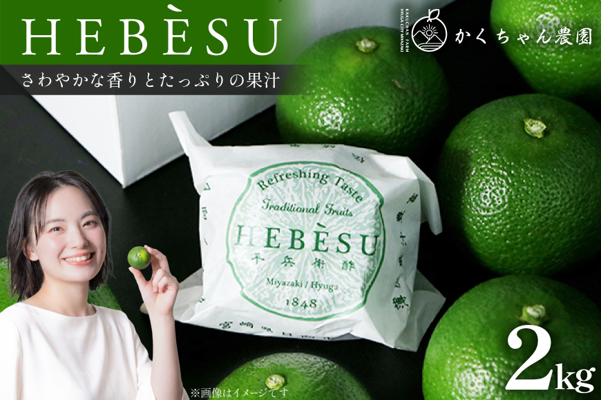 【期間限定発送】 採れたてへべす 2kg [かくちゃん農園 宮崎県 日向市 452060674] 果物 柑橘 へべす 平兵衛酢 ヘベス 期間限定 数量限定 果汁 香酸柑橘 調味料 宮崎 ビタミンC アミノ酸 国産 種が少ない
