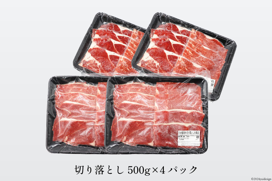 牛肉 九州産 和牛 切り落とし 2kg 500g×4p [日本ハムマーケティング 宮崎県 日向市 452060788] 冷凍 小分け 個包装 牛 すき焼き もも肉 モモ肉 牛バラ 牛肩