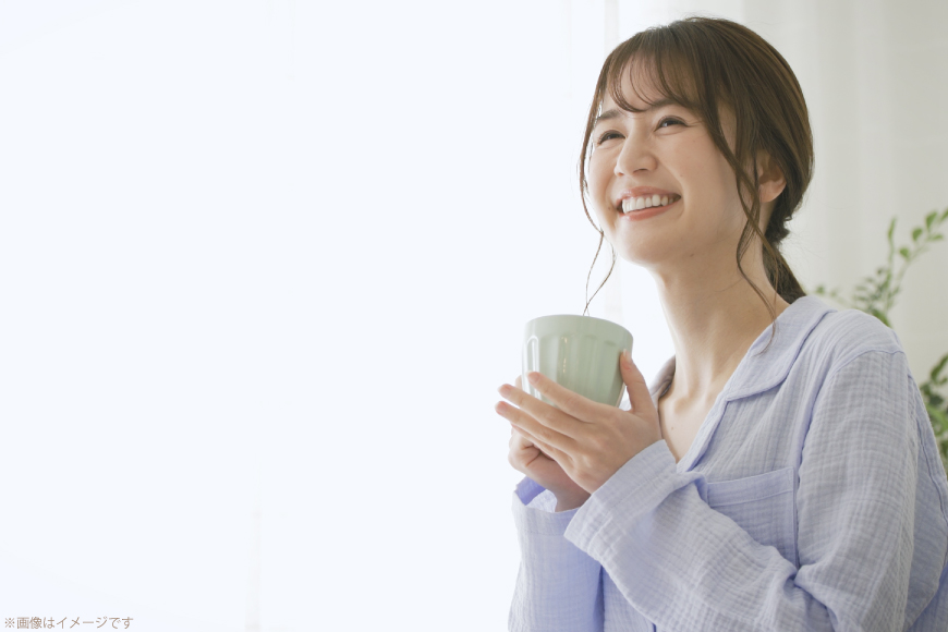 茶 特撰 ほうじ茶 70g 3本 [谷岩茶舗 宮崎県 日向市 452061672] 日本茶 お茶 茶葉 茎ほうじ 一番茶 新茶