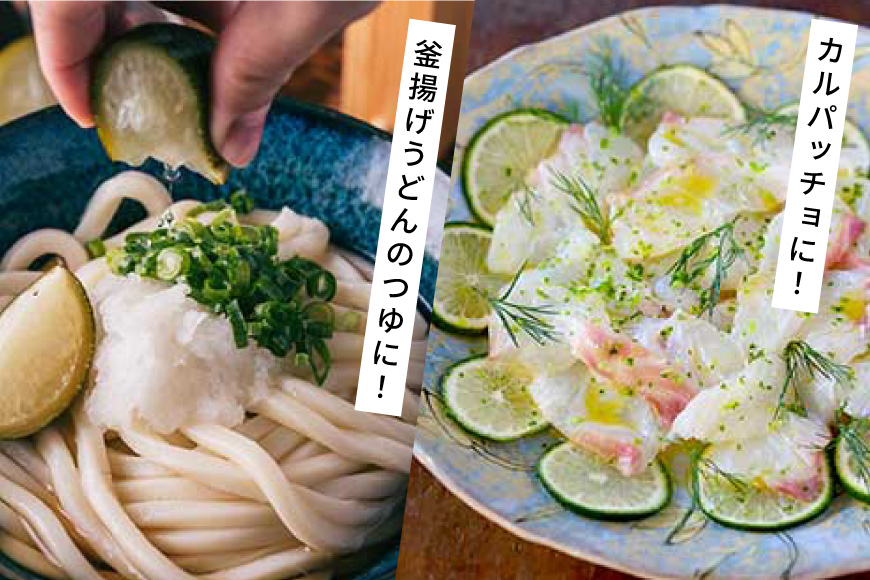 へべす 100% 果汁 2本 醤油 1本 計3本 セット [ひむか農園 宮崎県 日向市 452061201] ヘベス しょうゆ 調味料 柑橘