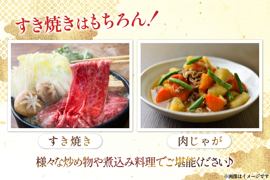 牛肉 宮崎県産 黒毛和牛 肩ロース すき焼き用 切り落とし 250g 4p 計 1kg セット [TRINITY 宮崎県 日向市 452061319] 冷凍 小分け ロース 薄切り うす切り 黒毛 霜降り スライス 牛肩 牛 肉 宮崎 和牛