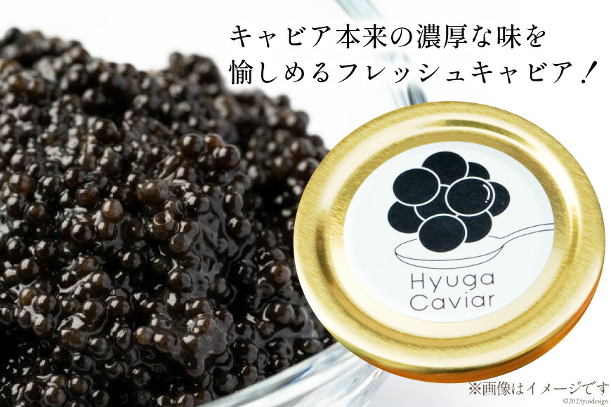 キャビア 日向キャビア (Hyuga Caviar) 10g 桐箱入り [ウィズ・クリエイティブ 宮崎県 日向市 452060322] 冷凍 宮崎 国産 チョウザメ フレッシュ