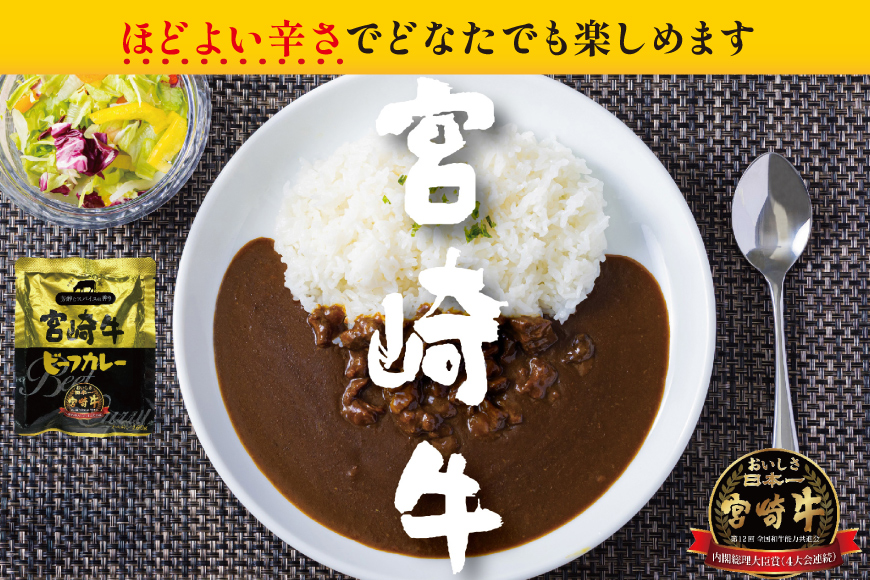 カレー 6回 定期便 レトルト 宮崎牛カレー 160g 12袋 総計72袋 [九州産商 宮崎県 日向市 452061183] 小分け ビーフカレー 宮崎 牛 常備食 保存食 中辛 宮崎牛 備蓄