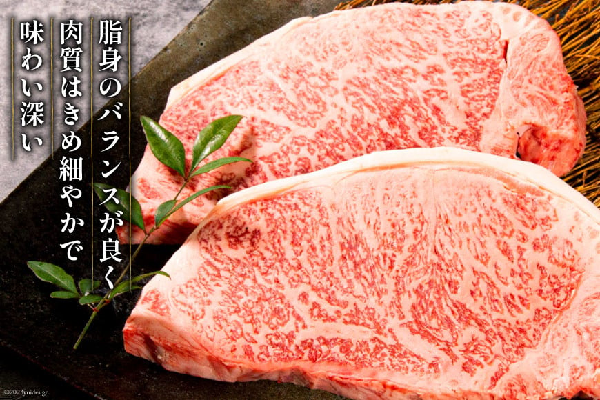 牛肉 宮崎牛 ロースステーキ 250g×2 計500g [ミヤチク 宮崎県 日向市 452060614] 肉 黒毛和牛 ステーキ ロース 冷凍