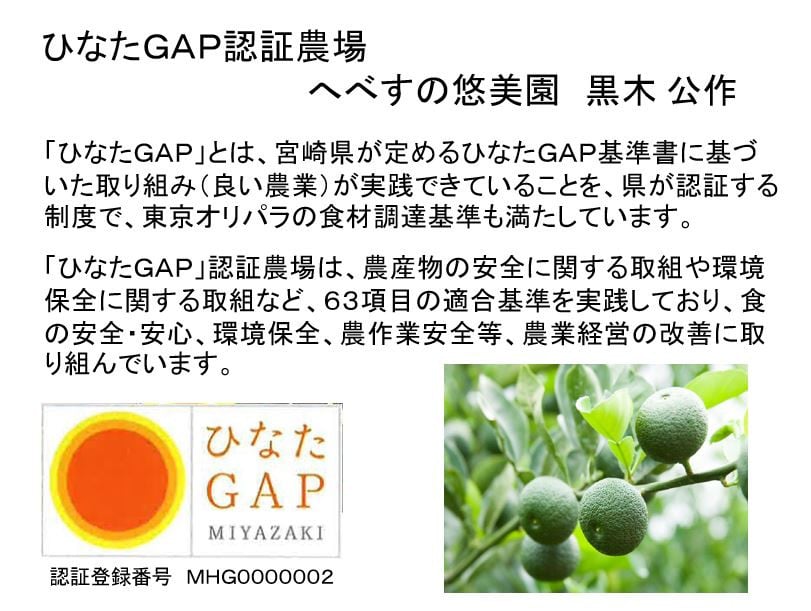 【期間限定発送】 へべす ひなたGAP認定 ふぞろい 5kg [へべすの悠美園 宮崎県 日向市 452060724] ヘベス 宮崎 果物 フルーツ くだもの 柑橘 ポン酢 調味料 果汁