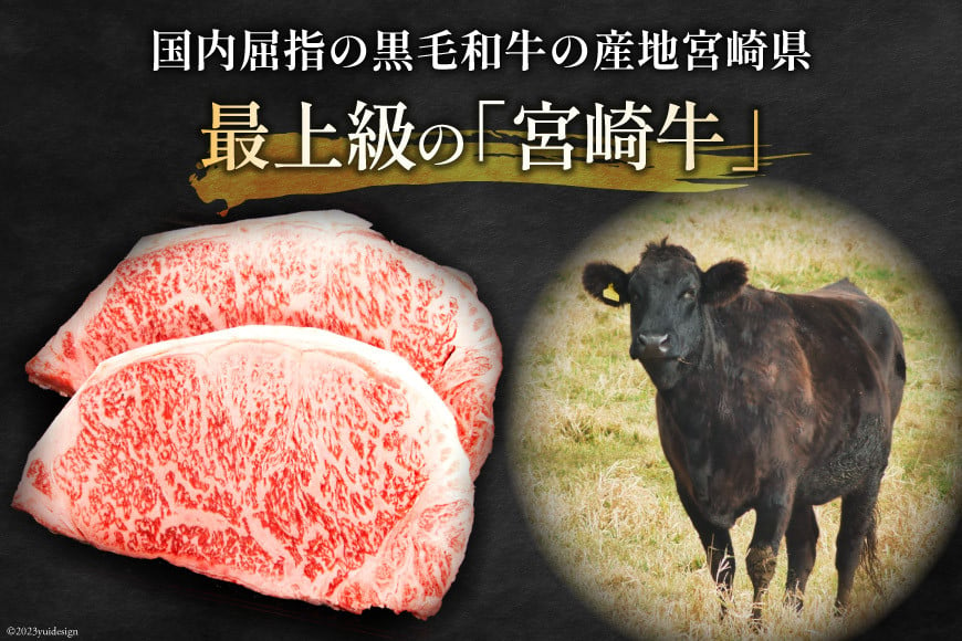 牛肉 宮崎牛 ロースステーキ 250g×2 計500g [ミヤチク 宮崎県 日向市 452060614] 肉 黒毛和牛 ステーキ ロース 冷凍