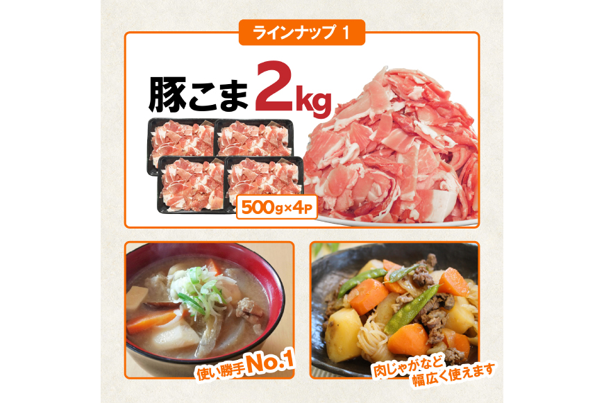 豚肉 宮崎県産豚肉 バラエティ セット 計4.5kg [南九フーズ 宮崎県 日向市 452061538] こま ミンチ 挽肉 ロース とんかつ しゃぶしゃぶ 生姜焼き 小分け