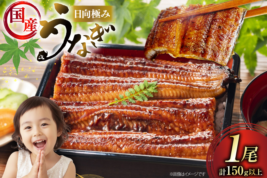 うなぎ 国産 日向極みうなぎ 蒲焼 1尾 150g以上 [日向サンパーク 宮崎県 日向市 452061664] たれ 山椒付き ギフト 小分け 真空パック 鰻 ウナギ うなぎの蒲焼