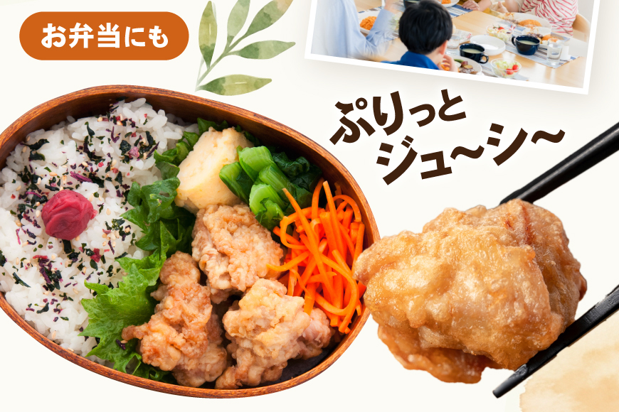 鶏肉 12回 定期便 もも 切身 IQF 250g 6袋 1.5kg 計18kg [南九フーズ 宮崎県 日向市 452061720] もも肉 冷凍 国産 カット 小分け ふるさと納税 鶏 とり肉 鳥肉 鶏もも 鶏もも肉 モモ 真空包装 個包装 お弁当 急速冷凍 バラ凍結 時短 カット済 定期 宮崎 宮崎県産 夕飯