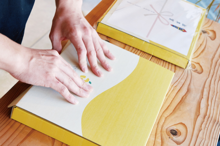 定期便 6回 【日本一の焙煎士厳選】珈琲 粉 100g×3種 スペシャルティコーヒー 飲み比べ [日向珈琲 宮崎県 日向市 452061207] コーヒー 焙煎 自家焙煎 詰め合わせ