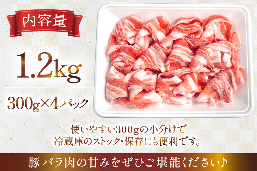 豚肉 宮崎県産 豚バラ しゃぶしゃぶ用 300g 4p 計 1.2kg セット [TRINITY 宮崎県 日向市 452061331] 冷凍 小分け しゃぶしゃぶ スライス 豚バラ肉 宮崎 豚バラ薄切り 薄切り