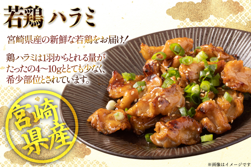 鶏肉 はらみ 宮崎県産 若鶏 ハラミ 300g 10p 計 3kg セット [TRINITY 宮崎県 日向市 452061343] 小分け 真空パック 小肉 鶏小肉 サガリ 貝の身