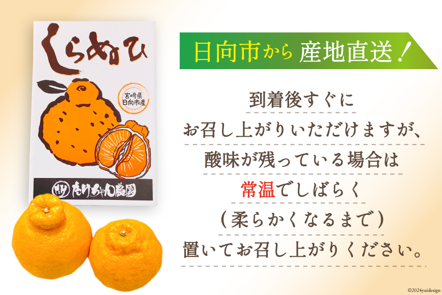 【期間限定発送】じゅわーっと甘い 不知火 約3kg（ハウス栽培・化粧箱入り） [たけちゃん農園 宮崎県 日向市 452060822] 果物 フルーツ 柑橘類