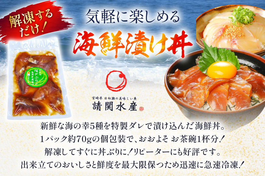 海鮮丼 漬丼 全5種 6食 セット [請関水産 宮崎県 日向市 452061674] ブリ マダイ マグロ サーモン カツオ 海鮮丼の具 海鮮丼セット 食べ比べ 冷凍 漬け丼 簡単 個包装 時短 お茶碗盛り