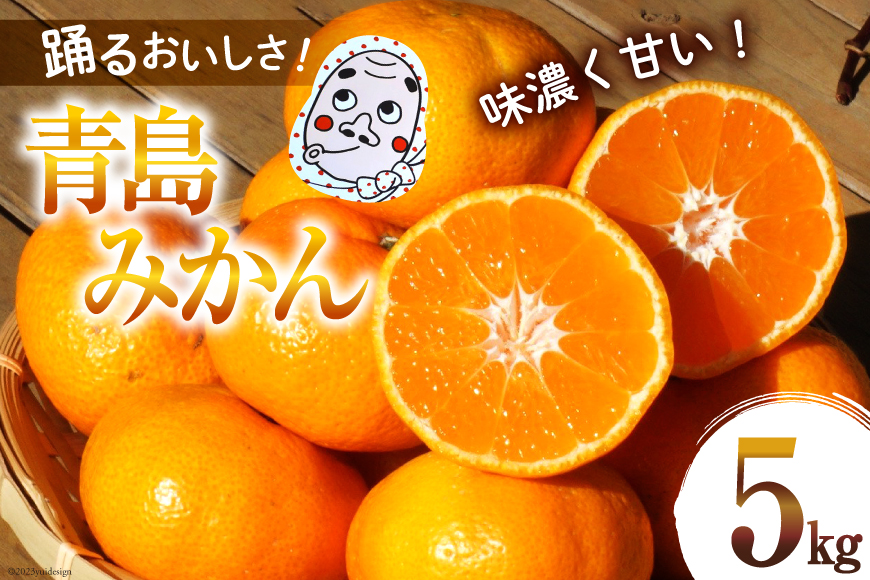 【期間限定発送】踊るおいしさ！味濃く甘い！ 青島みかん 5kg [奈須農園 宮崎県 日向市 452061478] 果物 フルーツ 柑橘 みかん ミカン
