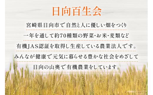 お茶 六条麦茶 （10g × 20包入）×５袋 [日向百生会 宮崎県 日向市 452060516] 麦茶 むぎ茶 水出し 煮出し ティーバッグ 国産 ノンカフェイン