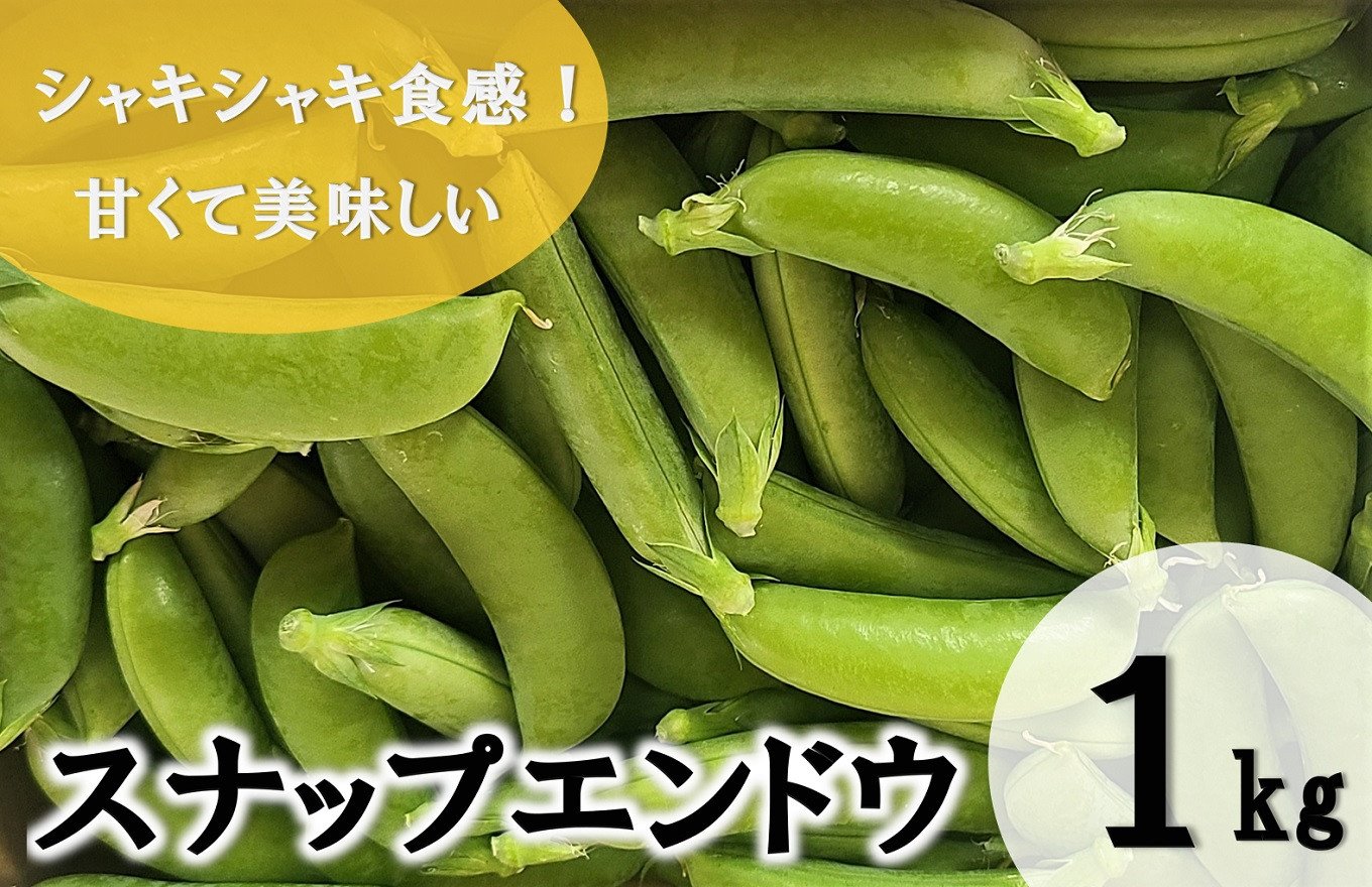 【期間限定発送】 野菜 スナップエンドウ 約1kg [盛光農園 宮崎県 日向市 452061219] スナックエンドウ 国産