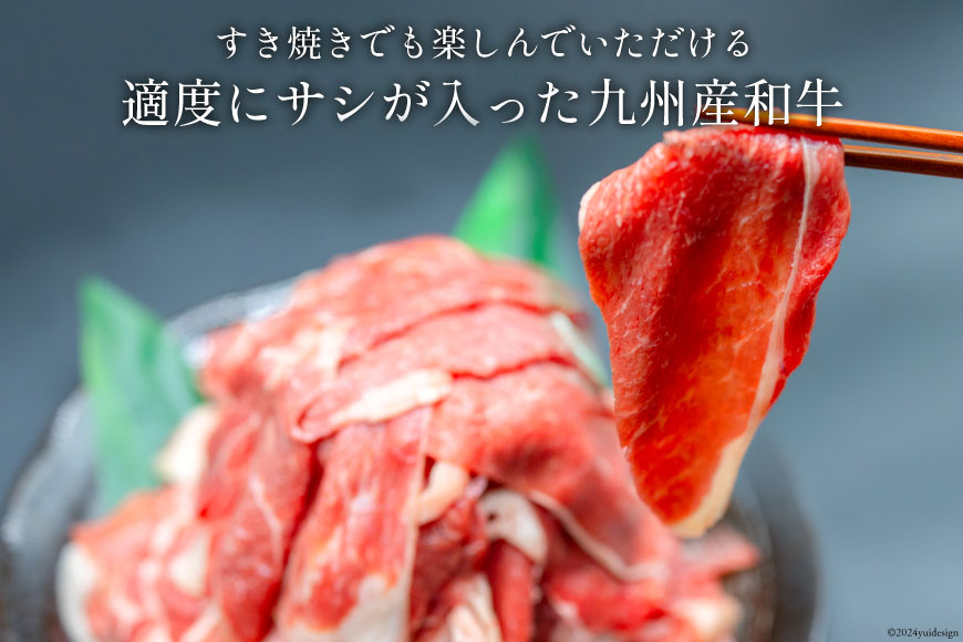 日本ハム 牛肉 3回 定期便 九州産 和牛 切り落とし 500g ×2p 計 1kg [日本ハムマーケティング 宮崎県 日向市 452061040] すき焼き しゃぶしゃぶ 赤身 小分け 冷凍 訳あり