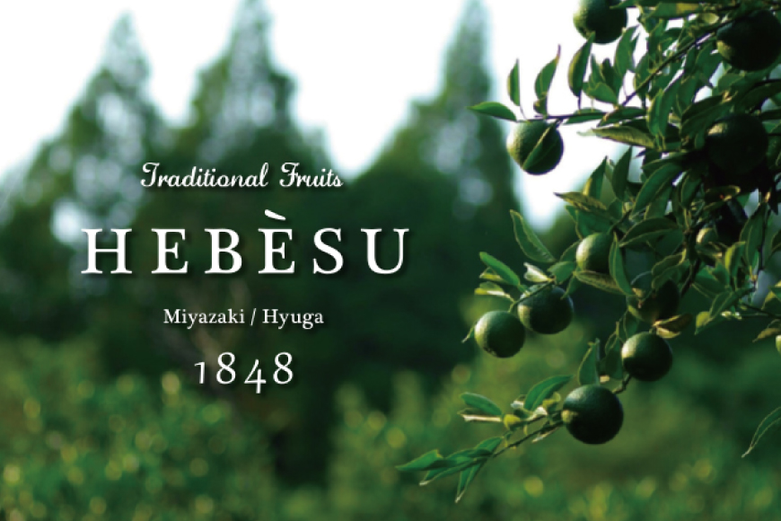 【期間限定発送】 訳あり 採れたてへべす 5kg [かくちゃん農園 宮崎県 日向市 452060673] 果物 柑橘 へべす 平兵衛酢 ヘベス 期間限定 数量限定 規格外 家庭用 果汁 香酸柑橘 調味料 宮崎 ビタミンC アミノ酸 国産 種が少ない