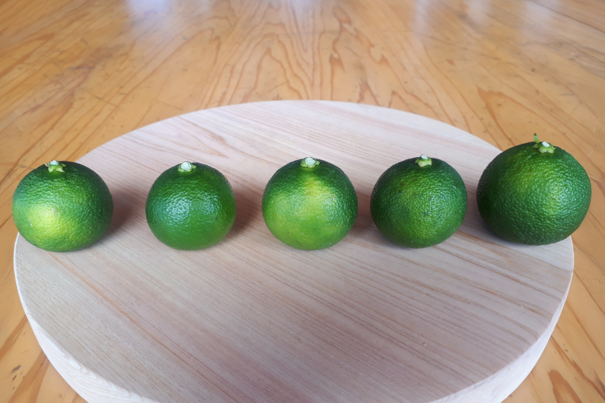 【期間限定発送】 訳あり 採れたてへべす 5kg [かくちゃん農園 宮崎県 日向市 452060673] 果物 柑橘 へべす 平兵衛酢 ヘベス 期間限定 数量限定 規格外 家庭用 果汁 香酸柑橘 調味料 宮崎 ビタミンC アミノ酸 国産 種が少ない