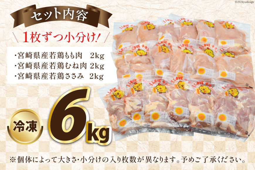 宮崎県産若鶏バラエティセット 6kg [エム・ティ・シー 宮崎県 日向市 452060677] 鶏肉 もも肉 小分け むね肉 ささみ ササミ 肉 冷凍 国産 
