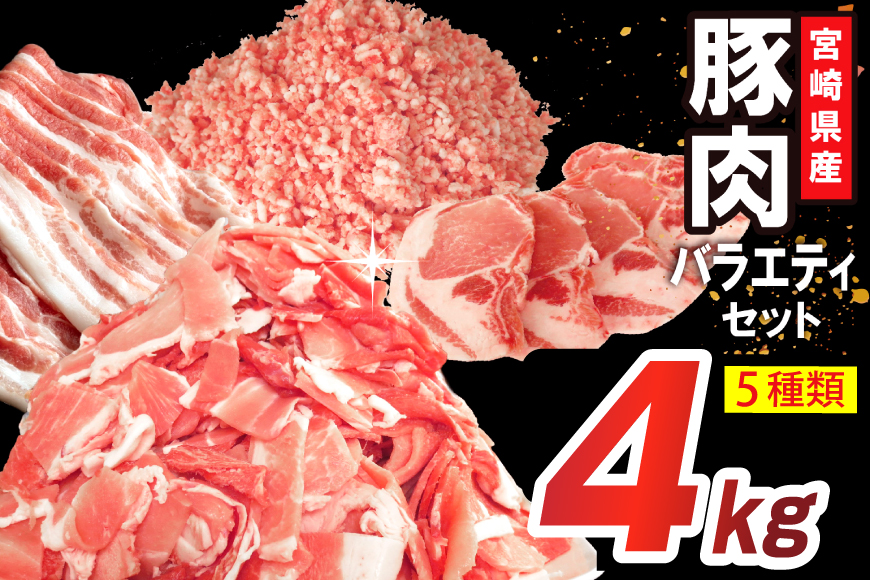 豚肉 詰め合わせ 宮崎県産豚肉 バラエティ セット 5種 4kg [南九フーズ 宮崎県 日向市 452061516] トンカツ とんかつ バラ 切り落とし しゃぶしゃぶ ロース スライス 豚こま 小間切れ ミンチ ひき肉