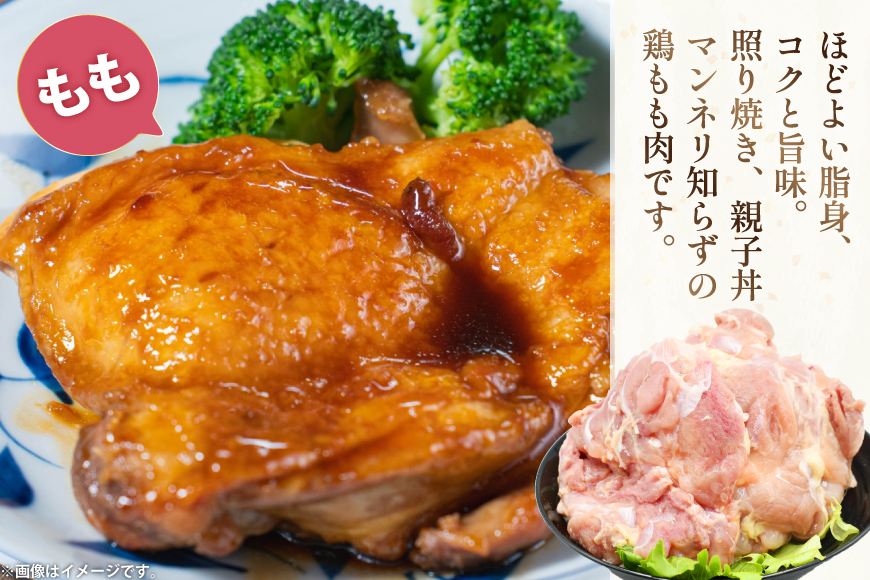 鶏肉 もも肉 2kg むね肉 2kg セット 計 4kg 未カット 宮崎県産 冷凍 [アイフーズ 宮崎県 日向市 452061699] とり肉 鳥肉 モモ肉 もも肉 むね肉 ムネ肉 胸肉 小分け 若鶏 宮崎