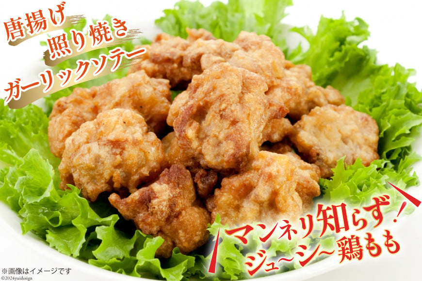 鶏肉 6回 定期便 宮崎県産 若鶏 モモ切身 250g ×12P 計 3kg ×6回 [九州児湯フーズ宮崎支店 宮崎県 日向市 452061056] 冷凍 国産 国内産 個包装 もも肉 モモ肉