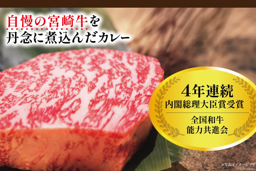 カレー 6回 定期便 レトルト 宮崎牛カレー 160g 12袋 総計72袋 [九州産商 宮崎県 日向市 452061183] 小分け ビーフカレー 宮崎 牛 常備食 保存食 中辛 宮崎牛 備蓄