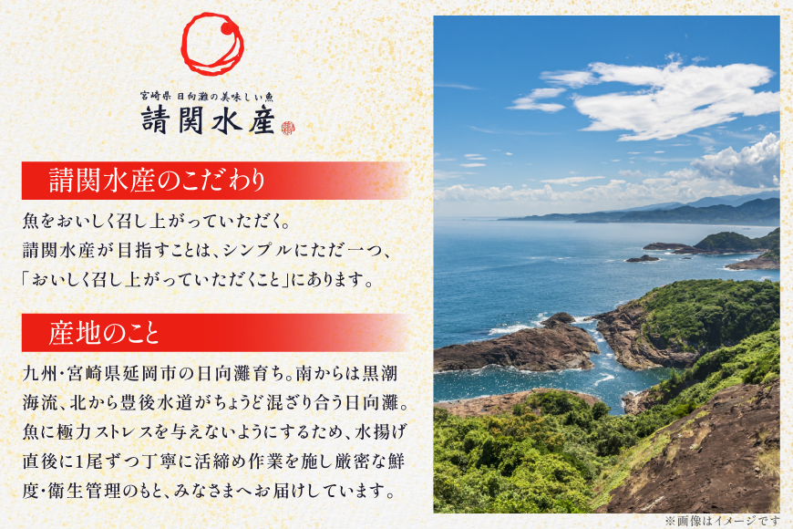 海鮮丼 6種の贅沢食べ比べ丼 1p約100g 6p 真空パック [請関水産 宮崎県 日向市 452061435] 海鮮丼の具 海鮮 海鮮丼セット 食べ比べ 丼 冷凍 ギフト 漬け丼 ぶり マダイ 真鯛 かんぱち カンパチ まぐろ マグロ サーモン かつお カツオ