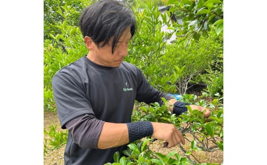 【要・お申込前ご連絡】お庭のお手入れ(作業地：日向市内限定)《4日×7時間程度》[270-02-(80)]