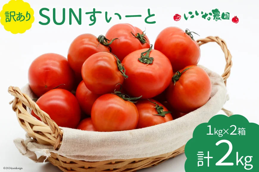 【期間限定発送】 訳あり トマト SUNすいーと 1kg×2箱 [にいな農園 宮崎県 日向市 452060917] 野菜 フルーツトマト 高糖度 甘い 不揃い 家庭用