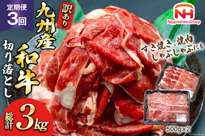 牛肉 訳あり 定期便 日本ハム 九州産和牛 切り落とし 500g 2p 3回 総計 3kg [日本ハムマーケティング 宮崎県 日向市 452061134] すき焼き しゃぶしゃぶ 赤身 小分け 冷凍 訳あり