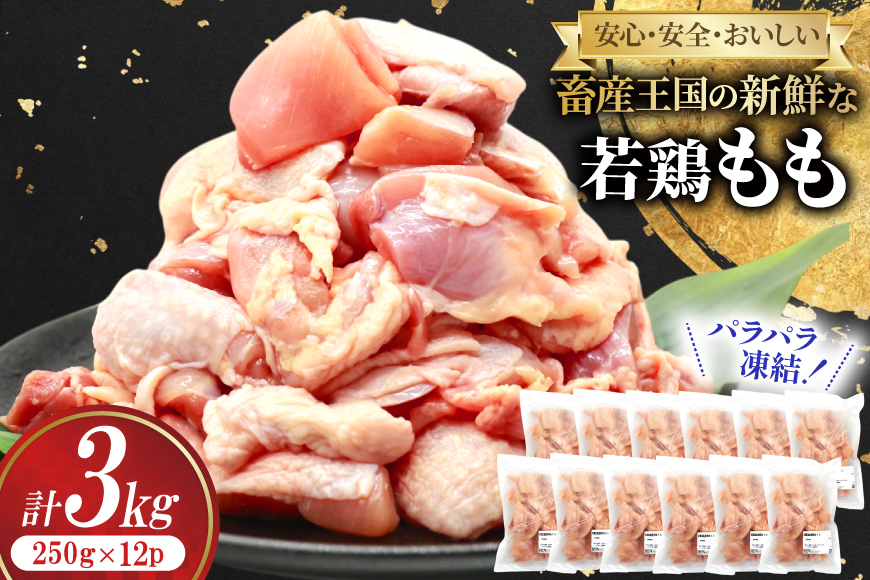 鶏肉 もも 宮崎県産 若鶏 もも カット パラパラ凍結 250g 12p 計3kg [南九フーズ 宮崎県 日向市 452061384] 小分け とり肉 鳥肉 鶏もも 鶏もも肉 鶏 冷凍 真空包装 モモ 鶏モモ 鶏モモ肉 宮崎 セット パラパラ