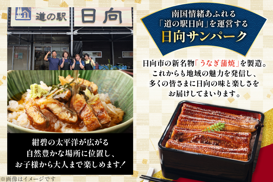 うなぎ 国産 日向極み うなぎ蒲焼 2尾 計240g以上 【たれ・山椒付き】 [日向サンパーク 宮崎県 日向市 452061502] ギフト 小分け 真空パック 鰻 ウナギ うなぎの蒲焼 蒲焼 蒲焼き