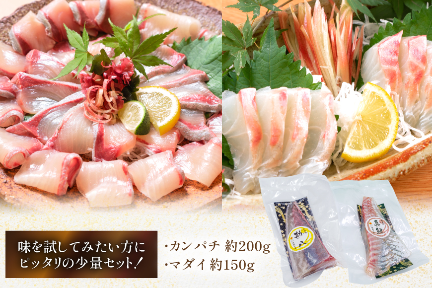 刺身 柵 カンパチ 真鯛 少量贅沢 食べ比べ セット [請関水産 宮崎県 日向市 452061438] 冷蔵 詰め合わせ 鯛 真鯛 タイ 個包装