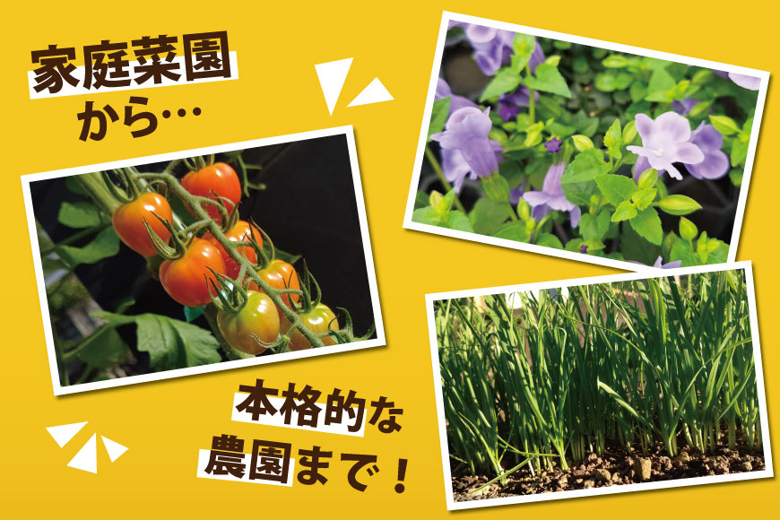 培養土 10L 3袋 計 30L [大地商会 宮崎県 日向市 452061633] 軽い ふかふか 植物 観葉植物 ガーデニング 園芸 家庭菜園 花 培養 土 鉢植え キッチンガーデン 花壇 畑