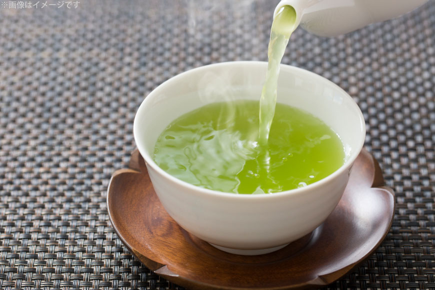 お茶 ティーバッグ 特撰 みやざき煎茶 10袋 セット [谷岩茶舗 宮崎県 日向市 452061644] ティーパック 茶 茶葉 緑茶 新茶 お茶の葉