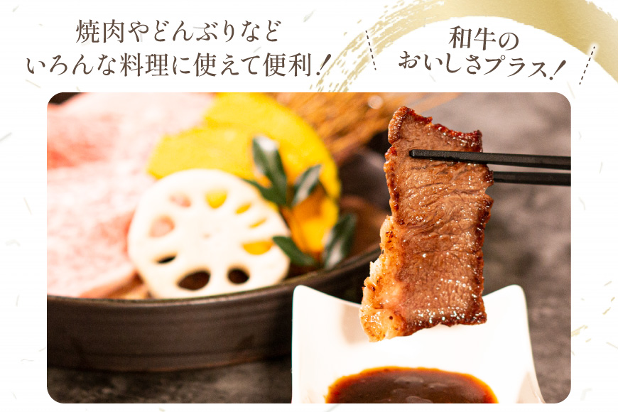 【畜産農家応援】 牛肉 焼肉 宮崎牛 ウデ 焼肉用 500g [ ミヤチク 宮崎県 日向市 452061598] 冷凍 内閣総理大臣賞 焼き肉 牛ウデ ウデ肉 黒毛 和牛 黒毛和牛 国産 国産牛肉 アウトドア BBQ キャンプ