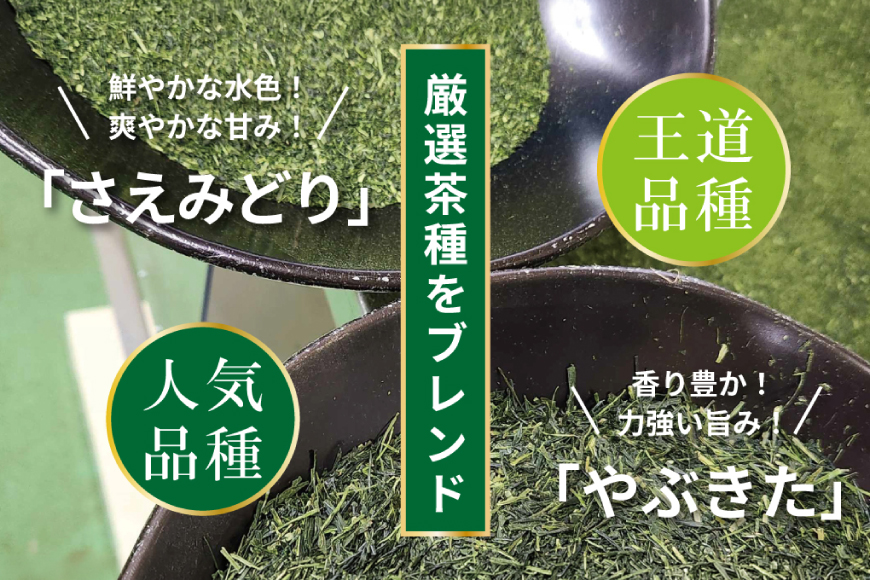 お茶 ティーバッグ 特撰 みやざき煎茶 紐付き 5袋 セット [谷岩茶舗 宮崎県 日向市 452061738] ティーパック 茶 茶葉 緑茶 新茶 お茶の葉