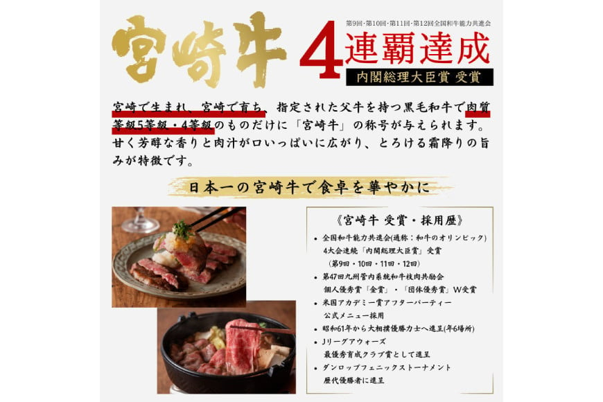 牛肉 定期便 3回 宮崎牛 バラエティAコース 計 1.3kg [ミヤチク 宮崎県 日向市 452061039] セット 冷凍 モモ 焼肉 牛肩ロース ロース バラ