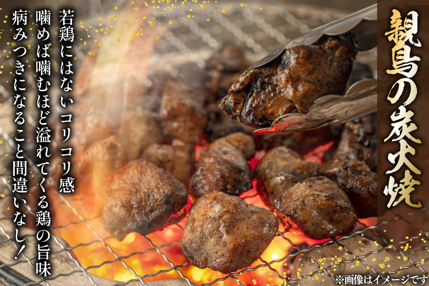 鶏 炭火焼き 柚子こしょう味 100g 6袋 計600g [カンショク 宮崎県 日向市 452061465] 炭火焼 鶏肉 親鳥 柚子こしょう ゆずこしょう 柚子胡椒