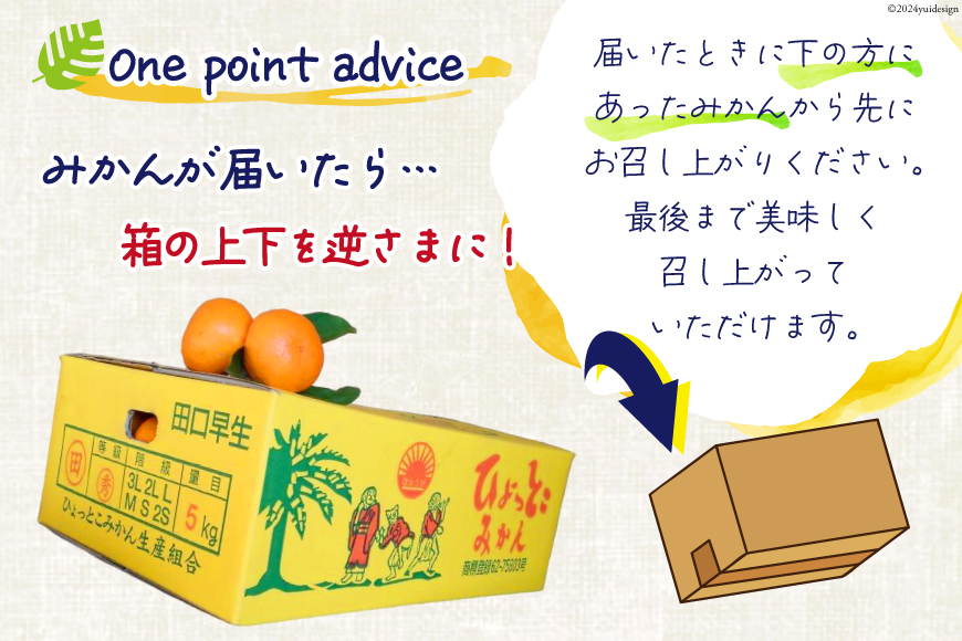 みかん 5kg【期間限定発送】ギュッと濃縮 うまっ！ 田口早生温州みかん S・Mいずれか [黒田農園 宮崎県 日向市 452060138] 果物 フルーツ ミカン 蜜柑 柑橘